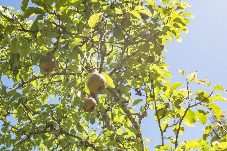 Photo of property in 337 Foothills Road, Okuku, Rangiora, 7473