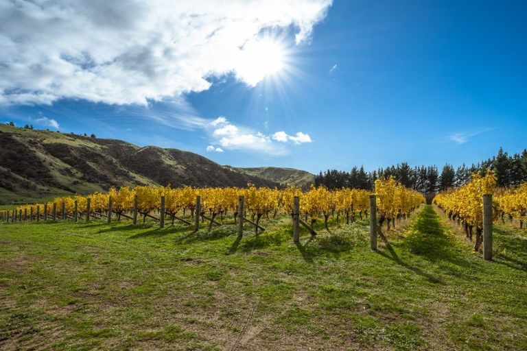 Photo of property in 441 Blind River Road, Blind River, Seddon, 7285