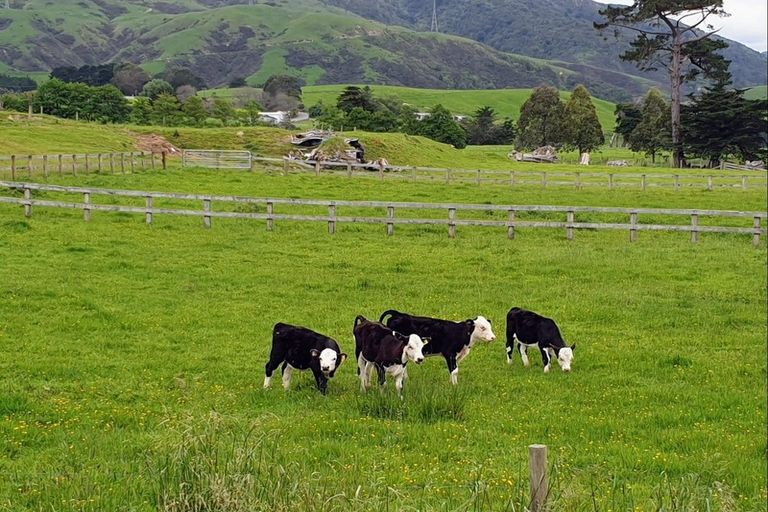 Photo of property in 98 Konini Street, Tokomaru, Palmerston North, 4474