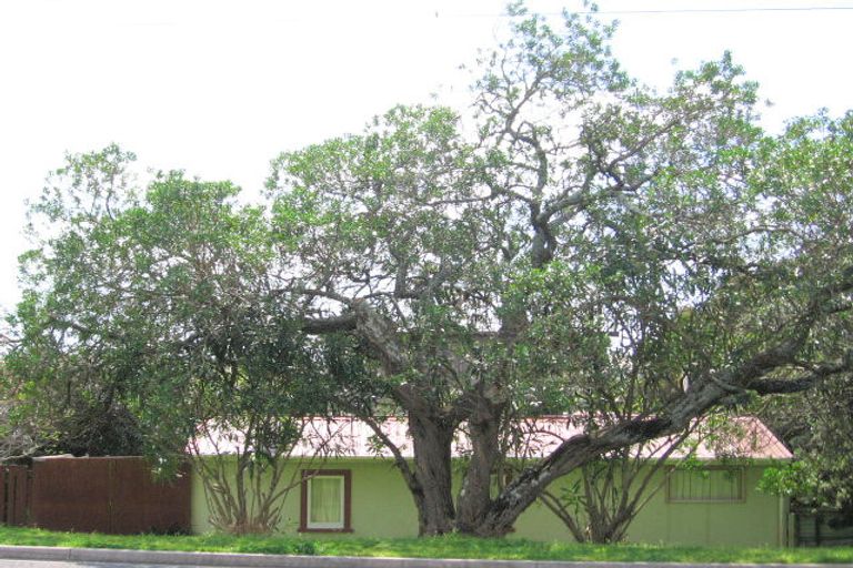 Photo of property in 1135 Papamoa Beach Road, Papamoa Beach, Papamoa, 3118