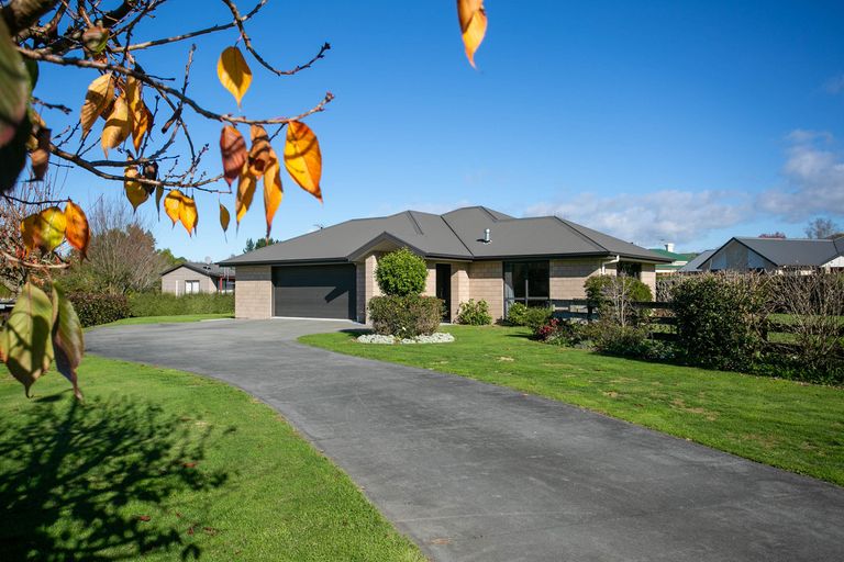 Photo of property in 620 Bellot Street, Pirongia, 3802