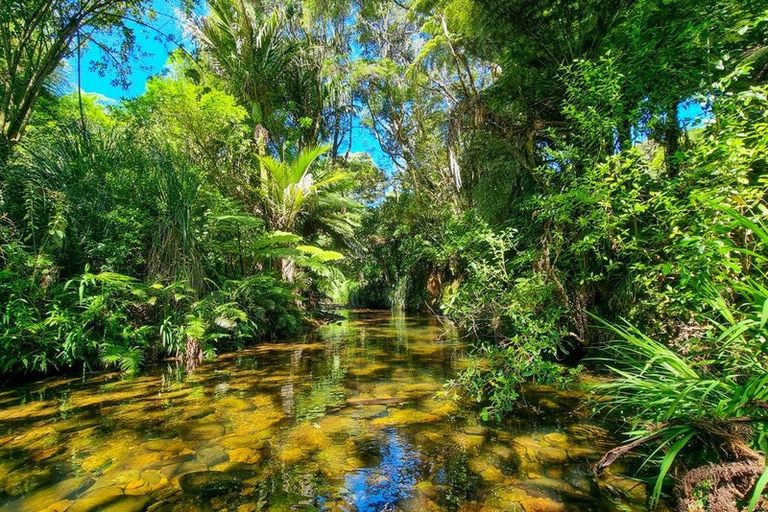 Photo of property in 877 Tiki Quarry Road, Preece Point, Coromandel, 3581