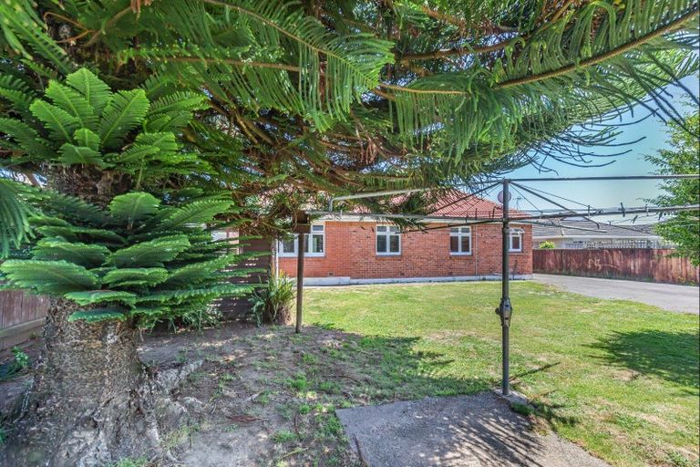 Photo of property in 3 Clark Street, Levin, 5510