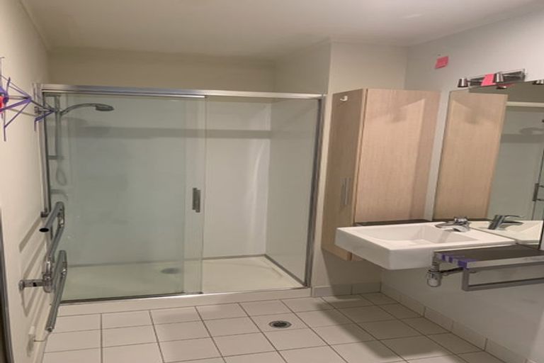 Photo of property in Luna Apartments, 1p/16 Burton Street, Grafton, Auckland, 1010