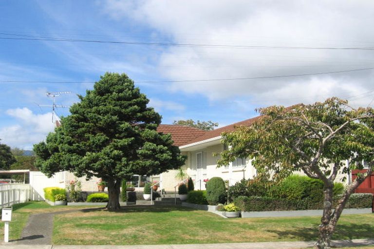 Photo of property in 19 Mary Crescent, Elderslea, Upper Hutt, 5018