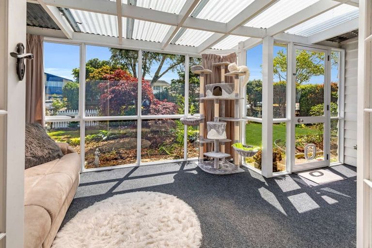 Photo of property in 74 Kennedy Drive, Levin, 5510