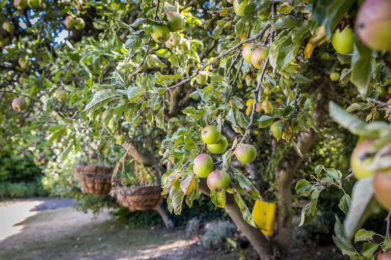 Photo of property in 947 Allanton-waihola Road, Allanton, Mosgiel, 9092