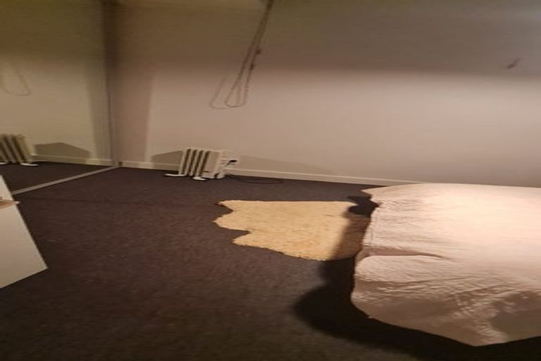 Photo of property in 21a Opoia Road, Hamilton East, Hamilton, 3216