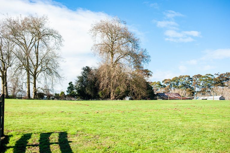 Photo of property in 300 Puahue Road, Te Awamutu, Cambridge, 3879