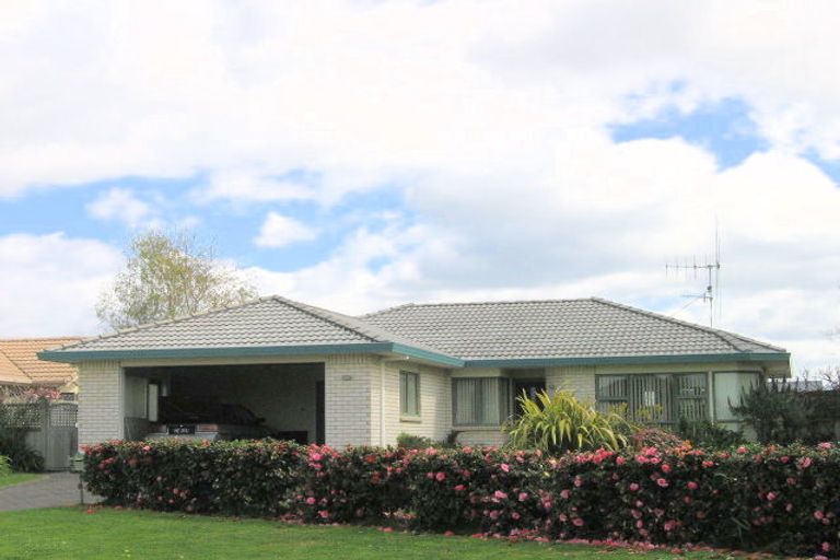 Photo of property in 44 Fahey Avenue, Mount Maunganui, 3116