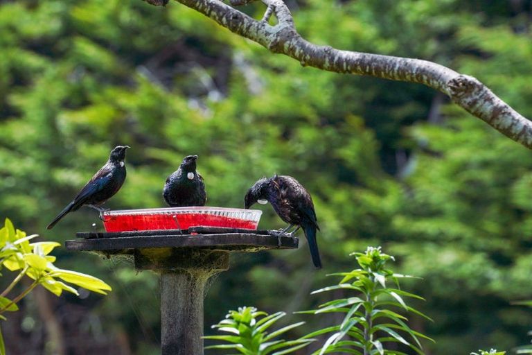 Photo of property in 75 Matua Road, Otatara, Invercargill, 9879