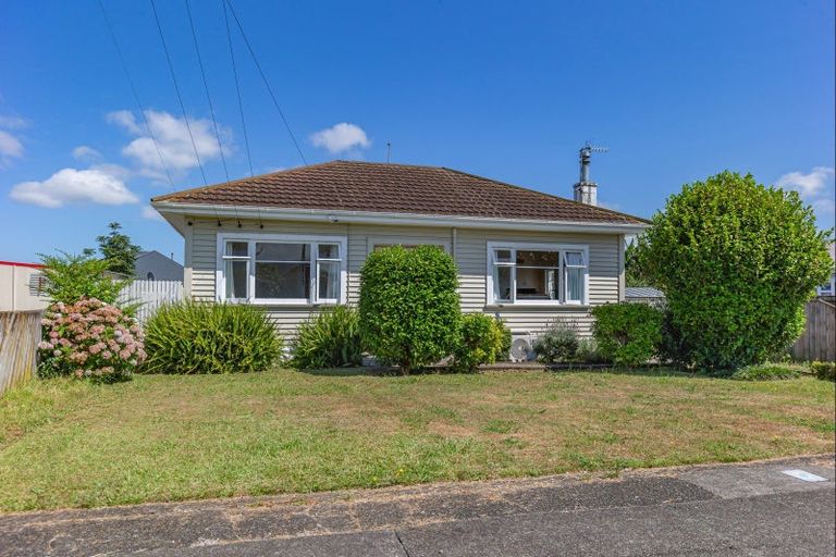 Photo of property in 13 Winchester Street, Levin, 5510