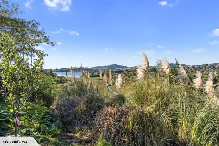 Photo of property in 74b Hammond Street, Hairini, Tauranga, 3112