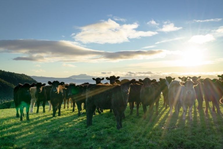 Photo of property in 18 Te Hapua Bay Road, Kuratau, Turangi, 3381