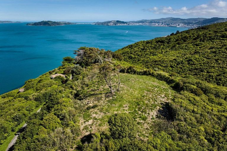 Photo of property in 50 Dungarvan Road, Newlands, Wellington, 6037