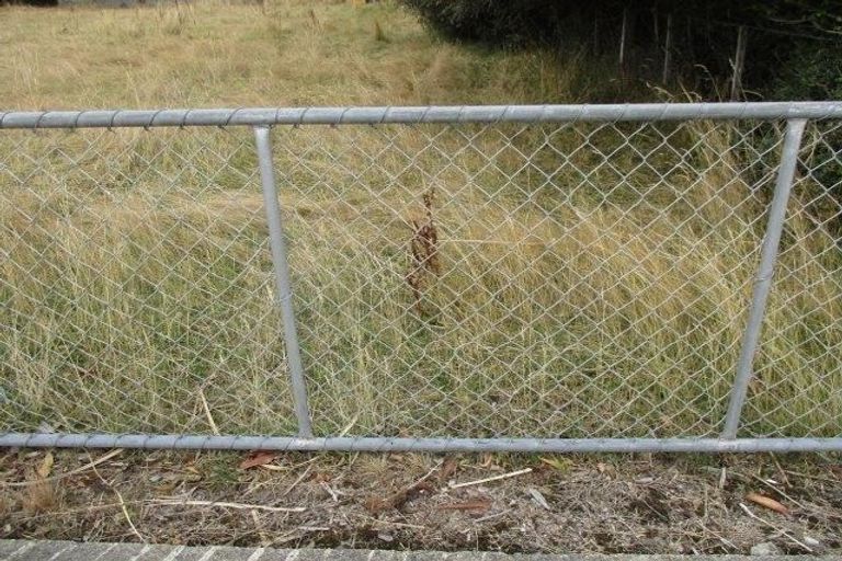 Photo of property in 79 Queen Street, Balfour, 9779