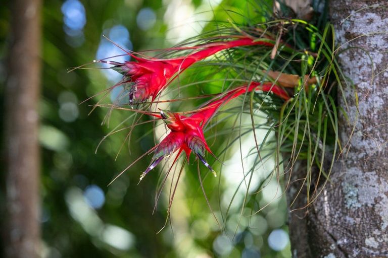 Photo of property in 111 Old Reservoir Road, Karangahake, Paeroa, 3674