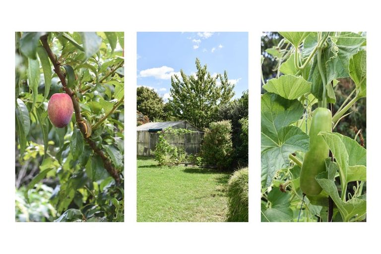 Photo of property in 180 Carlton Street, Bellevue, Tauranga, 3110