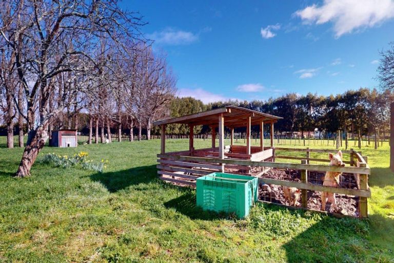 Photo of property in 292 Heatherlea Road East, Levin, 5571