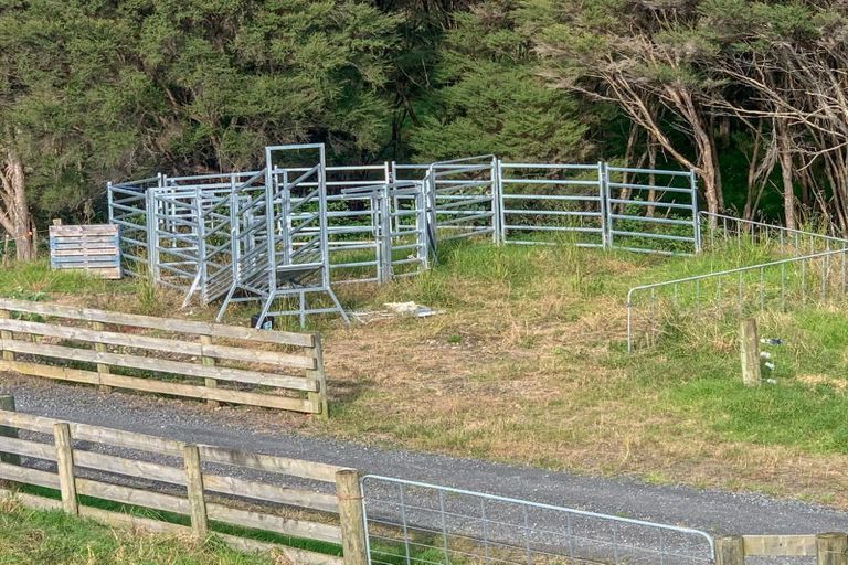 Photo of property in 88 Morrison Road, Komata, Paeroa, 3674