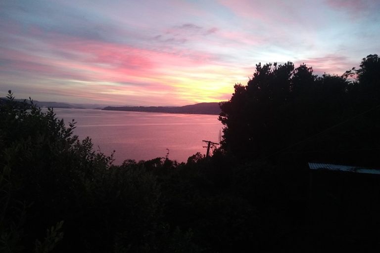 Photo of property in 273 Portobello Road, The Cove, Dunedin, 9077