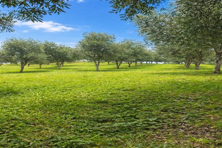 Photo of property in 563 Kopuku Road, Maramarua Forest, Te Kauwhata, 3781