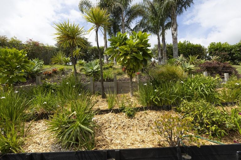 Photo of property in 9 Dudley Crescent, Cable Bay, 0420