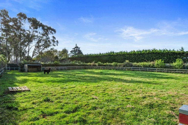 Photo of property in 91 Te Whanga Road, Levin, 5572