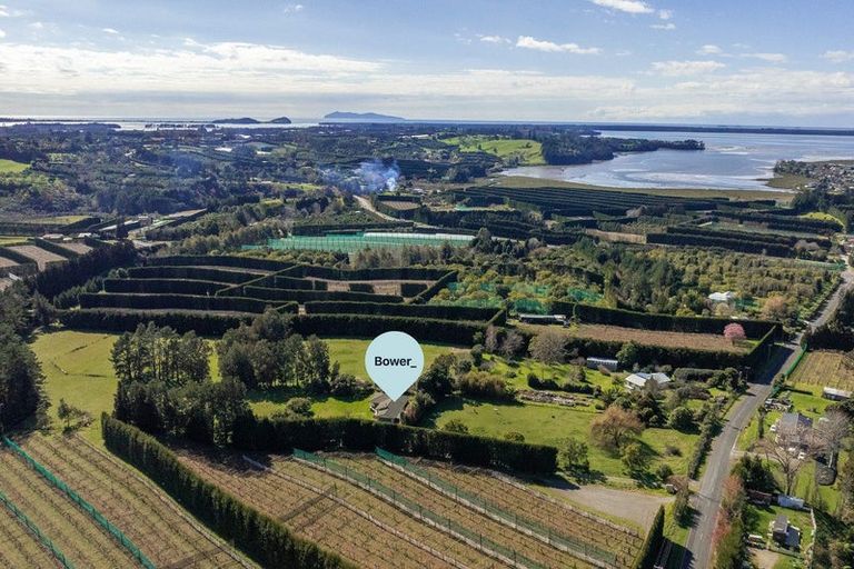 Photo of property in 48 Lindemann Road, Katikati, 3170