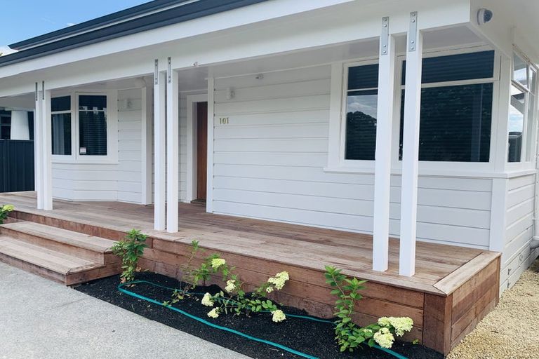 Photo of property in 99 Georges Drive, Napier South, Napier, 4110