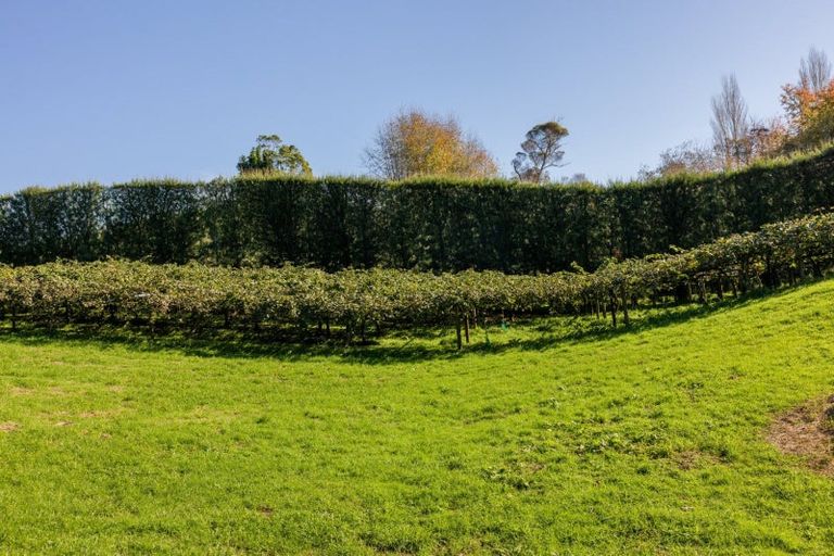 Photo of property in 394 Old Highway, Whakamarama, 3180