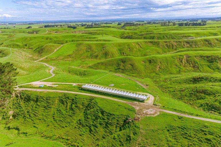 Photo of property in 157 Williams Road, Muriwai, Gisborne, 4072