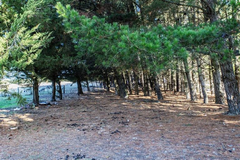 Photo of property in 335 Main Race Road, Eyrewell, Rangiora, 7476