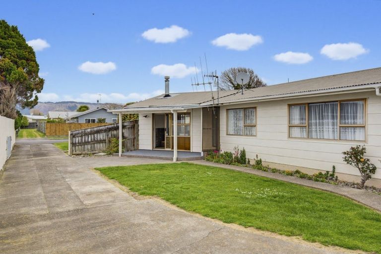 Photo of property in 19 Rimu Street, Levin, 5510
