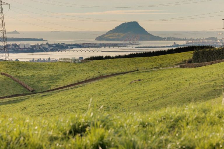 Photo of property in 39c Rowe Road, Ohauiti, Tauranga, 3173