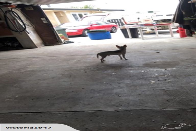 Photo of property in 85 Coverdale Street, Onekawa, Napier, 4110