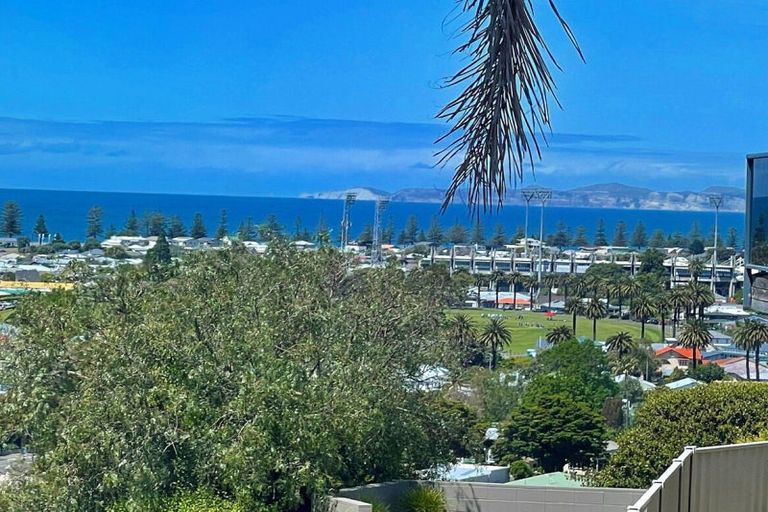 Photo of property in 30a Enfield Road, Hospital Hill, Napier, 4110