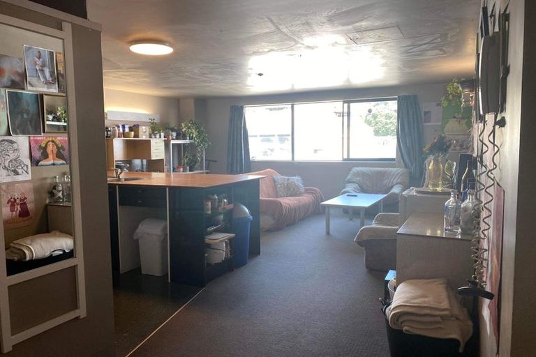 Photo of property in 1/3 King Street, Mount Cook, Wellington, 6021