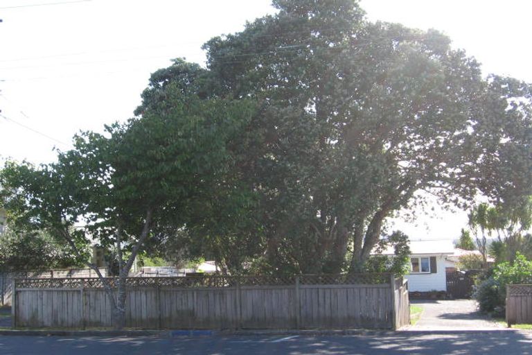 Photo of property in 61 Astley Avenue, New Lynn, Auckland, 0600