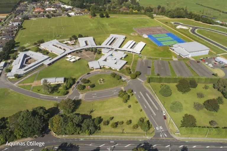 Photo of property in 21 Alva Glen Place, Pyes Pa, Tauranga, 3112