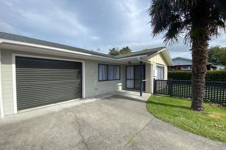 Photo of property in 19b Te Aute Road, Havelock North, 4130