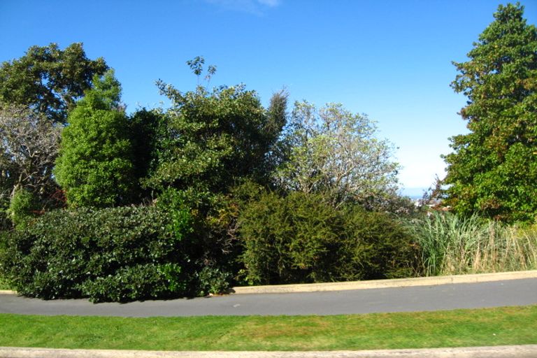 Photo of property in 26 Greenhill Avenue, Wakari, Dunedin, 9010