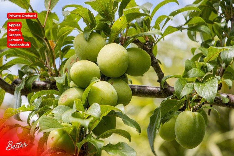 Photo of property in 10 Richmal Street, Waihi, 3610