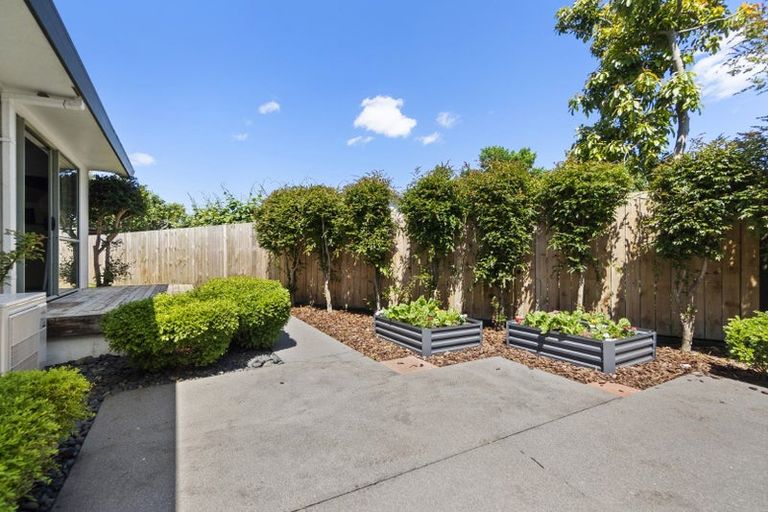 Photo of property in 14a Forster Avenue, Hillcrest, Hamilton, 3216