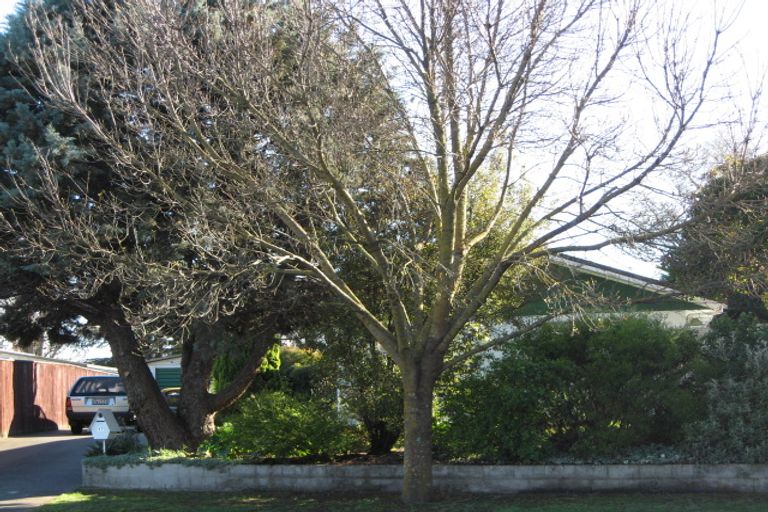 Photo of property in 17 Kaweka Place, Havelock North, 4130