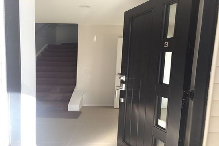 Photo of property in 3 Lemon Tree Lane, Flat Bush, Auckland, 2019