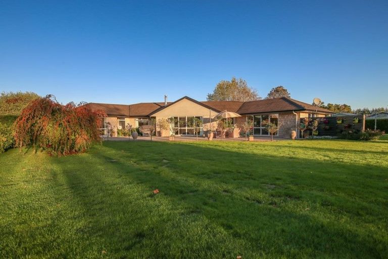Photo of property in 16 Cameo Place, Matamata, 3472