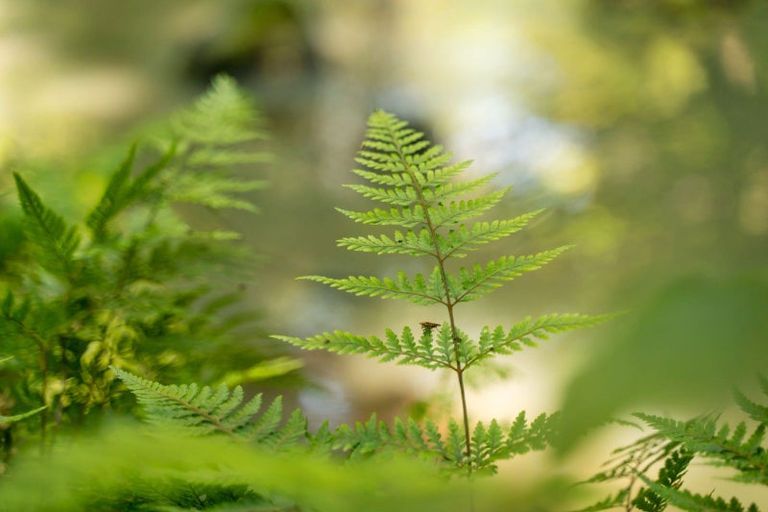 Photo of property in 246 Gray Road, Te Kamo, Kamo, 0185