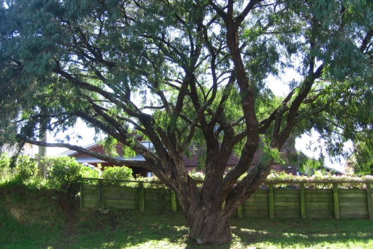 Photo of property in 61 Fourteenth Avenue, Tauranga South, Tauranga, 3112