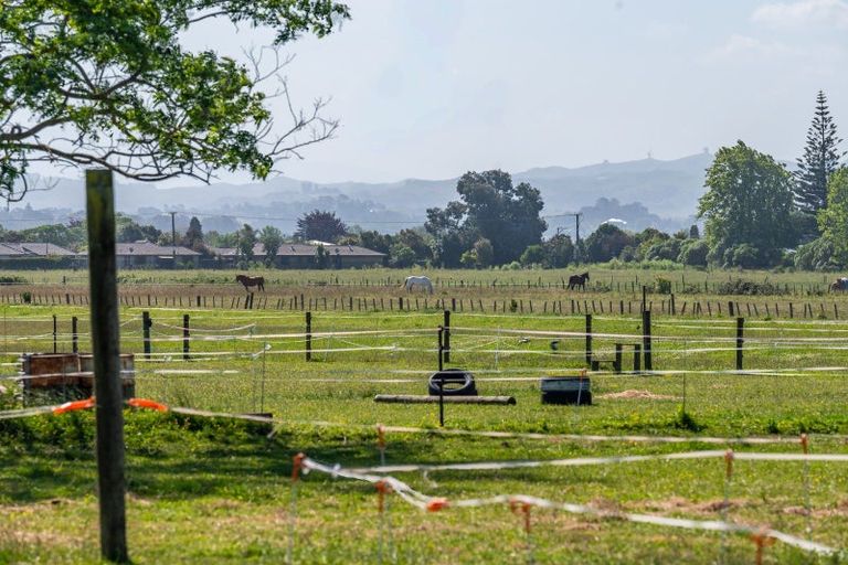 Photo of property in 13 The Loop, Meeanee, Napier, 4110